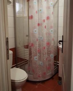 Guest House Dunavski Raj - Kostol - 9