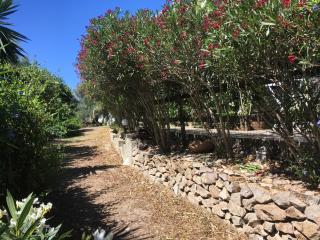 Garden Rooms - Carloforte - 1