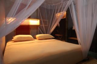 Ecolodge Bukit Lawang - Hotel&JungleTREK - Bukit Lawang - 2
