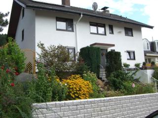 Ferienwohnung Petrik - Neckargemünd - 0