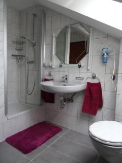 Ferienwohnung Petrik - Neckargemünd - 5