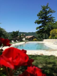 Frigino Agriturismo - Molino Abbadia - 8