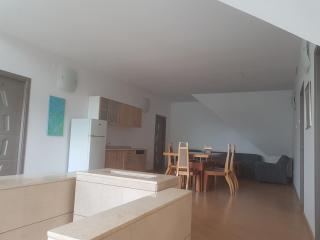 Lara Guest House - Sfântu-Gheorghe - 1