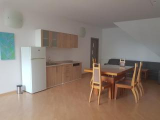 Lara Guest House - Sfântu-Gheorghe - 3