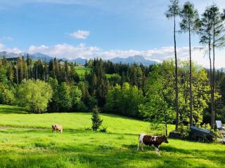 Tatrzańska Polana 5F - Zakopane - 6