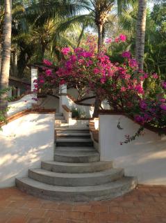 Casa Flor de Mar - 0