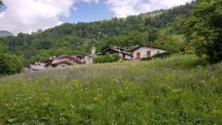 Delfin Dal Pianhol - 9