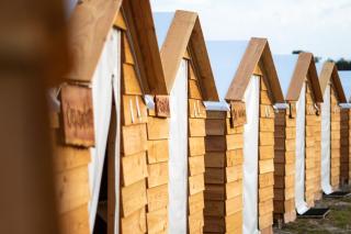 Surfana Vlieland Surf Host en Bed & Breakfast - 1