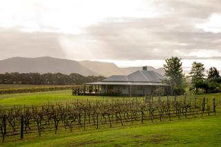 Hanging Tree Wines - Pokolbin - 9