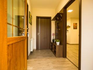 Bodzaház Apartman - 2