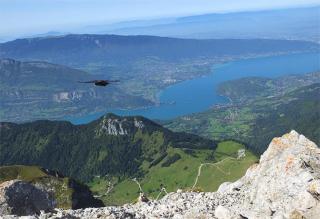 Chalet L' ADRET - Bluffy - 4