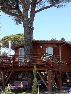 Il Vivaio - Tarquinia - 2
