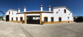 Vivienda Rural Olivar de San Telmo - Arcos de la Frontera - 7