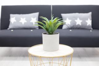 Moonkey - Apartamento Amaralba A - Alicante - 9