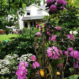 Green Garden house - Jurmala - 4