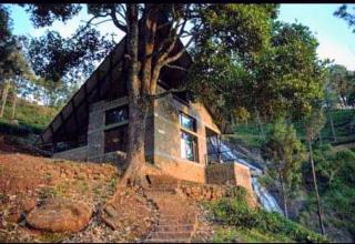 O'Land Plantation - Kolakambe - 8