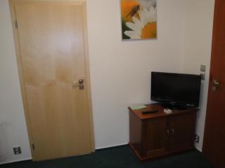 Hotel U Parku - 8