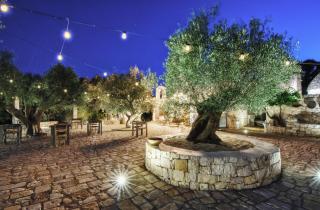 Puntebianche B&B - Ceglie Messapica - 4