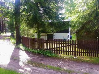 BORY TUCHOLSKIE SKÓRZENNO KOŁO OSIEKA - Osiek - 8