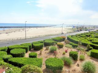 T2 EN 1ERE LIGNE MER AVEC PARKING - Sète - 3