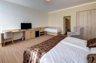 Hotel GTC 3* superior - Bílovec - 8