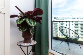 Pobookowane Barbary DeLux Old Town - 2