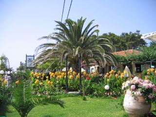 Tara Beach Hotel - Skala - 5