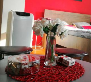 Apartman Red wall - Čačak - 8