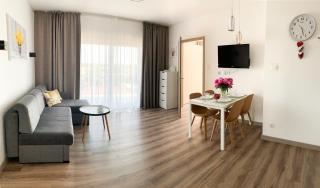 Apartament Livia - Sianozety - 9