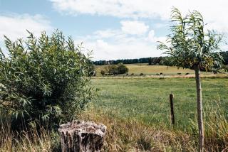 La vagabonde - Gesves - 1