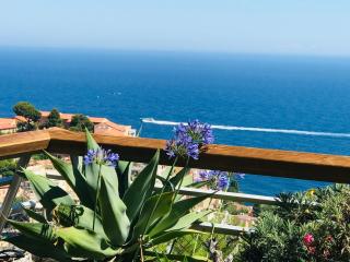 COSTA PLANA COLLECTION - Cap d'Ail - Monaco - Cap d'Ail - 3