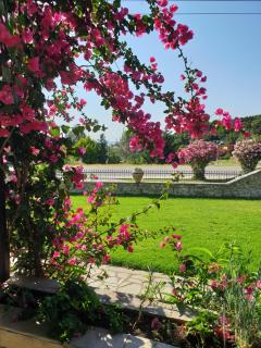 Hotel Ermioni - Kalamitsi - 7