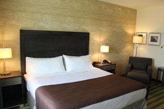 Holiday Inn Texarkana Arkansas Convention Center by IHG - Texarkana - 9