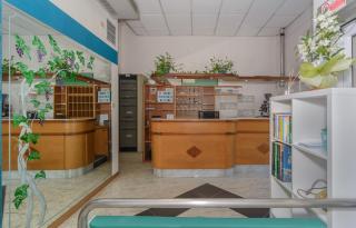 Hotel Sogno - Viareggio - 9