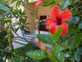 Avgi Garden House Chania with private entrance - 8