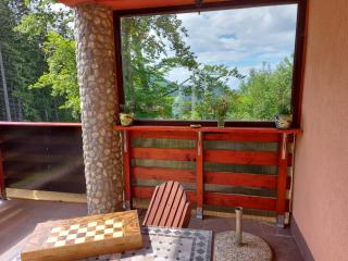 Casa de vacanța - Paraul Rece - 2