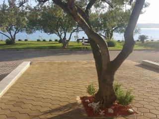 Maria's - Biograd na Moru - 5