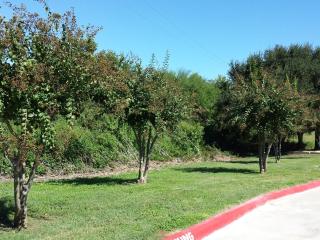 Best Western Inn of Brenham - 4