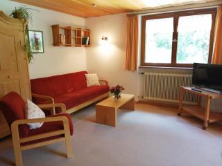 Ferienwohnung Waldhaus - Sankt Gallenkirch - 2