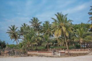 Baobab Sea Lodge - Kilifi - 7