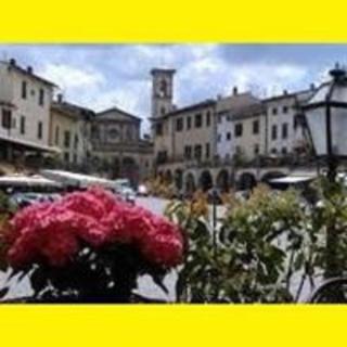 Happy Florence Matteotti Square Greve - Greve in Chianti - 0
