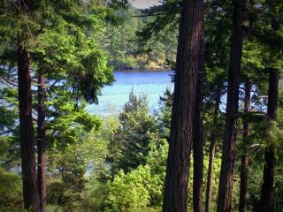 Inn to the Woods - 1