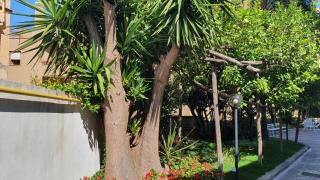 Maria Maddalena Holiday House - Vico Equense - 7