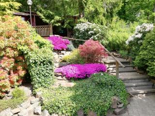 Pension Rheingold Garni - 2