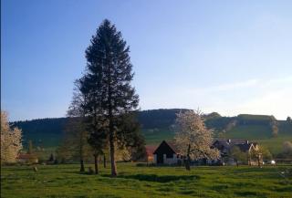 Agroturystyka "U Kasi" - 4