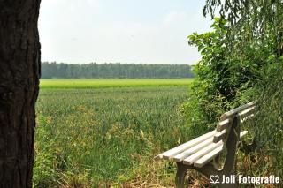 Buitengoed Het Achterdiep - Ter Apel - 8
