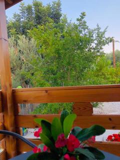 Happy Glamping Cy - Ayios Theodhoros - 1