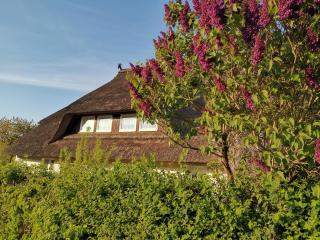 Gemütliche Ferienwohnung unterm Reetdach - Boiensdorf - 7