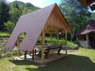 Cabana Soarelui Retezat - Nucşoara - 2