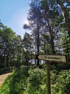 BiG Bed & Breakfast - 5